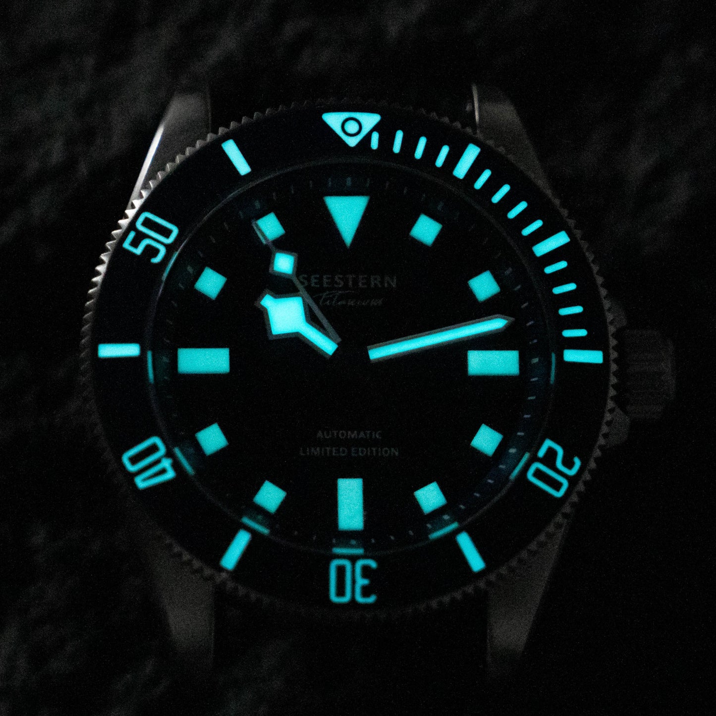 Seestern 430 Titanium Professional Diver (Seagull ST2130 movement)